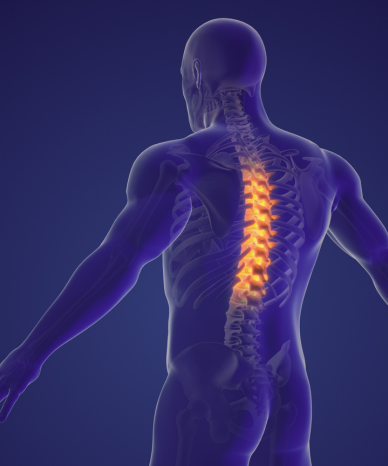 3D illustration of spinal pain - Mercer Legal Group services