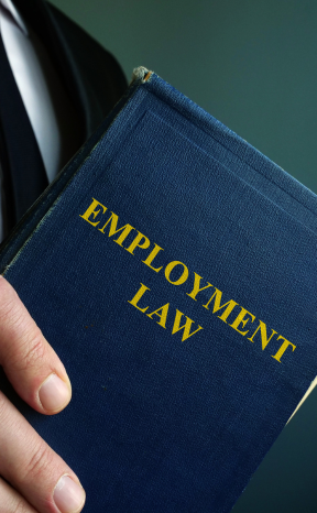 Employment law book - Mercer Legal Group services